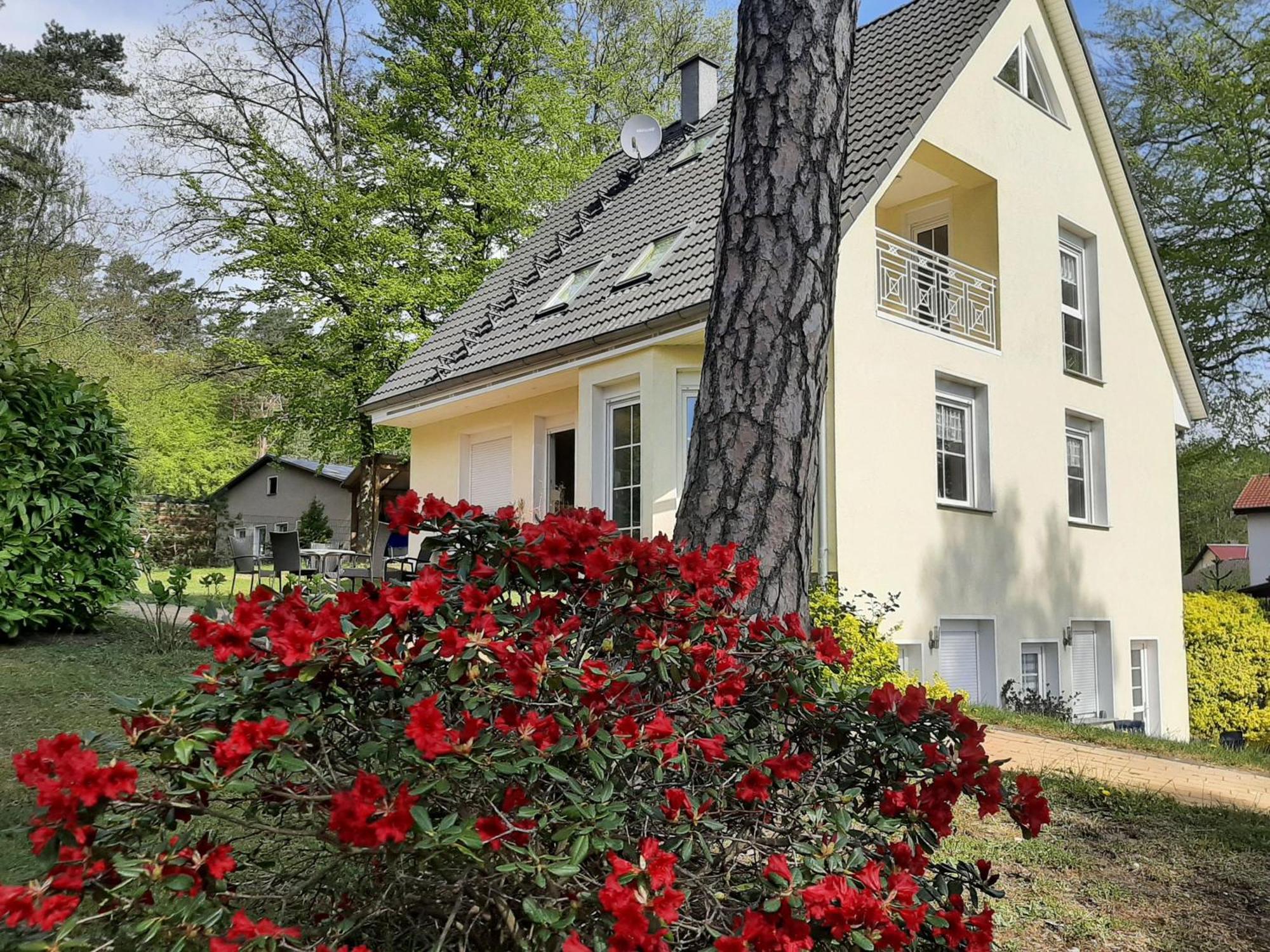 Bansin, Ferienwohnung Bansin Ostseebad Heringsdorf Exterior foto